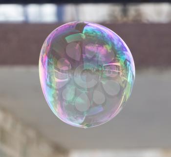 big bubble in nature