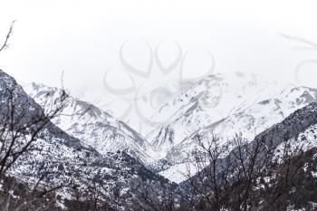 snow-capped mountains of the Tian Shan in winter