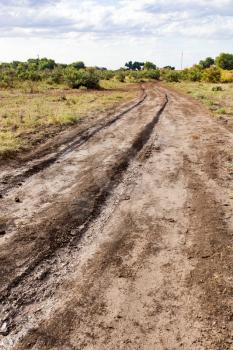 dirt road in nature