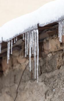 icicles on winter nature