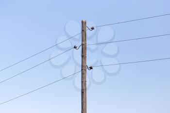 electric pole on the background of blue sky