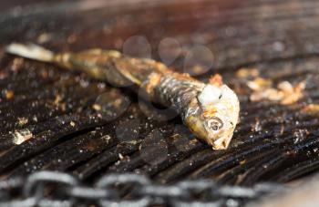 fried fish on the barbecue