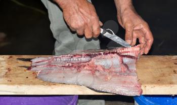 fish cutting knife