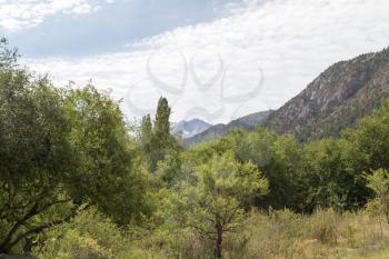 slopes of the mountains in Kazakhstan