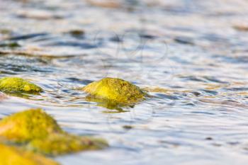 stones in the river as a backdrop