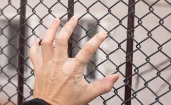 hand on a metal fence