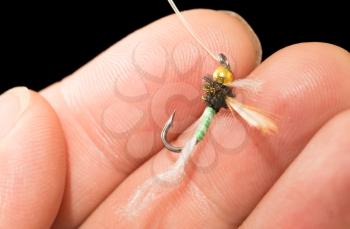 fly to catch fish in a hand on a black background