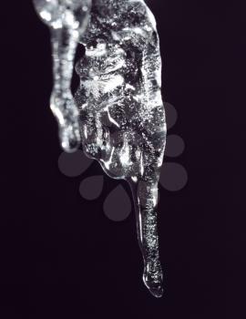 icicle on a black background