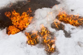 fiery flame on the white snow in winter