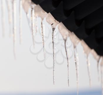 Icicles from the roof of the house