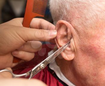 Men's haircut with scissors in the beauty salon