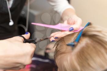 Female haircut with scissors in the beauty salon