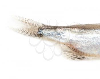 tail capelin on a white background . Cooking food