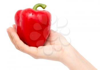 Red paprika in hand on a white background .