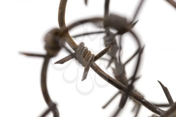 Barbed wire on a white background. macro