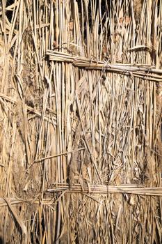 Abstract background of reeds on a fence