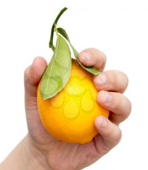 lemon in his hand on a white background .