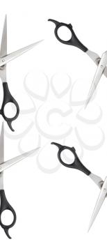 scissors on a white background . A photo
