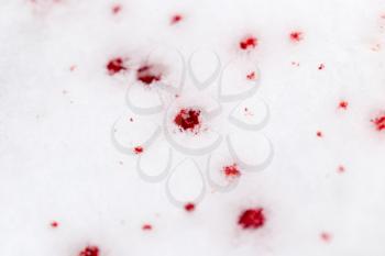 red blood on the snow . Abstract background