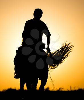 Silhouette of a man on a horse at sunset .