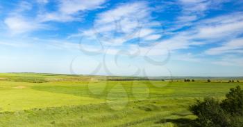 Nature in the steppe of Kazakhstan in the spring .