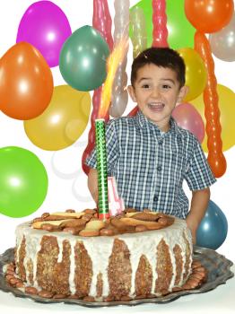 Cute little boy celebrates his birthday and enjoys sparkling candle on cake