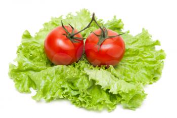 Royalty Free Photo of Tomatoes and Lettuce