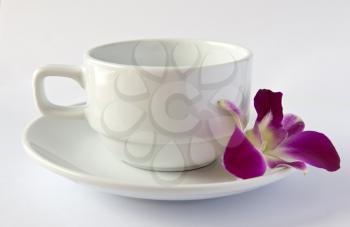 Royalty Free Photo of a Cup and Saucer