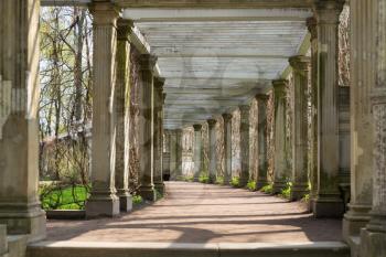 Ancient columns corridor in spring grass. St. Petersburg, Russia, Catherine Park