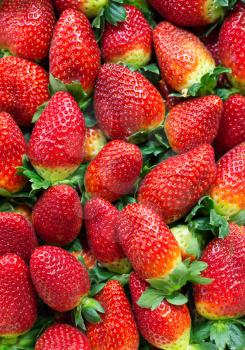 Fresh Ripe Strawberries Full Frame Background.