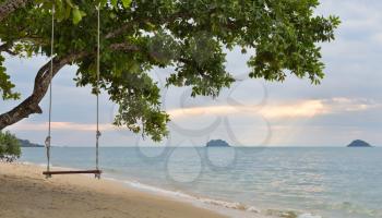 Rope swing on a mangrove tree on a beach at sunset sky background, the rays of the sun from behind the clouds