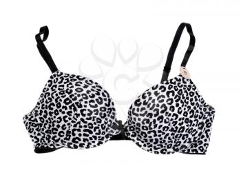 Black and white bra with a pattern. Isolate on white.