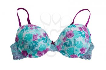 Blue bra with rose pattern. Isolate on white.