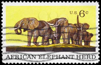 Royalty Free Photo of 1969 US Stamp Shows the African Elephant Herd, Natural History