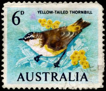AUSTRALIA - CIRCA 1964: A Stamp shows image of a Yellow-tailed Thornbill from the series Birds, circa 1964