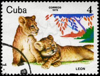 CUBA - CIRCA 1979: A Stamp printed in CUBA shows image of a Lion cubs from the series Zoo Animals, circa 1979