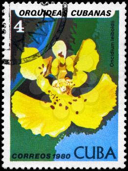 CUBA - CIRCA 1980: A Stamp shows image of a Oncidium with the inscription Oncidium leiboldii, from the series Cuban Orchids, circa 1980