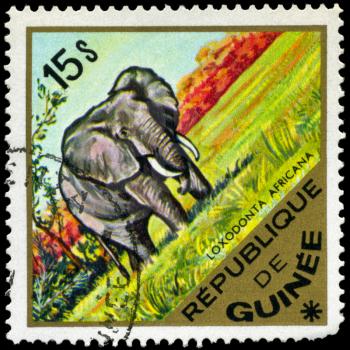 GUINEA - CIRCA 1975: A Stamp shows a elephant, series, circa 1975