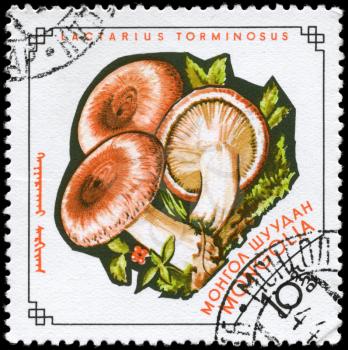 MONGOLIA - circa 1964: A Stamp printed in MONGOLIA shows image of the Lactarius torminosus, from the series Mushrooms, circa 1964