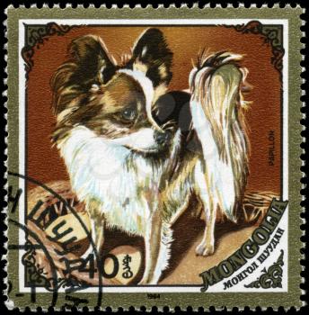 MONGOLIA - CIRCA 1984: A Stamp printed in MONGOLIA shows image of a Papillon from the series Dogs, circa 1984