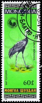 MONGOLIA - CIRCA 1985: A Stamp shows image of a Grus with the inscription Grus monahas from the series Birds, circa 1985