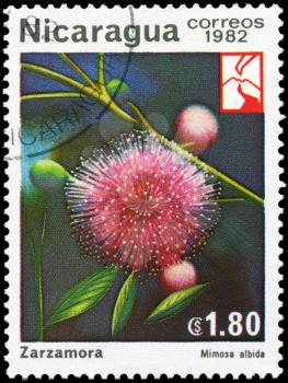 NICARAGUA - CIRCA 1982: A Stamp printed in NICARAGUA shows image of a Mimosa albida, series, circa 1982