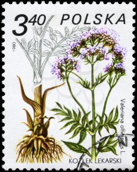 POLAND - CIRCA 1980: A Stamp printed in POLAND shows the Valerian, with the description Valeriana officinalis, from the series Medicinal Plants, circa 1980