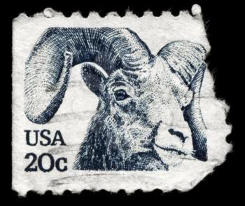 USA - CIRCA 1982: A Stamp printed in USA shows the image of a Bighorn, circa 1982