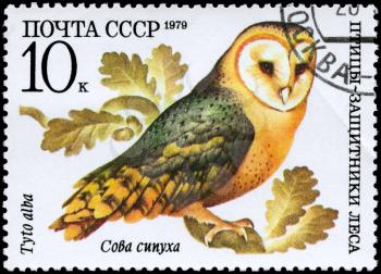 USSR - CIRCA 1979: A Stamp shows image of a Barn Owl with the inscription Tuto alba from the series Birds - defenders of forest, circa 1979
