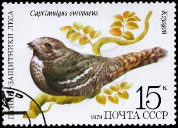 USSR - CIRCA 1979: A Stamp shows image of a Nightjar with the inscription Caprimulgus europaeus from the series Birds - defenders of forest, circa 1979