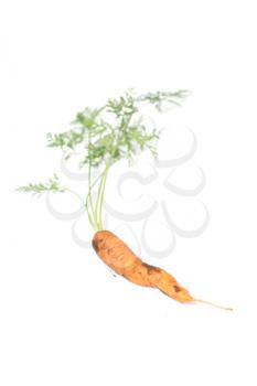 Royalty Free Photo of a Carrot