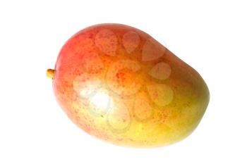 Royalty Free Photo of a Mango