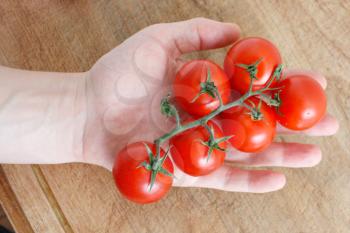 Royalty Free Photo of a Person Holding Tomatoes