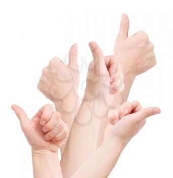 Royalty Free Photo of a Bunch of Thumbs Up